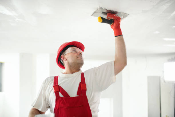 Best Mold-Related Health Consultation  in Prairie Grove, AR
