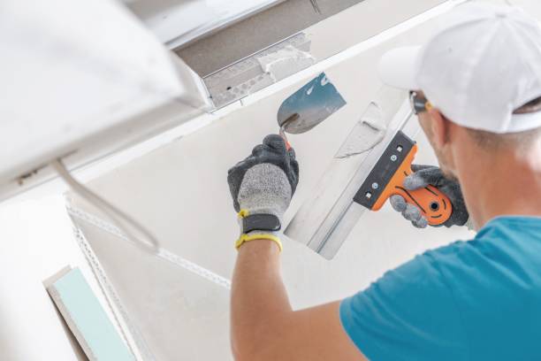 Best Biohazard Mold Removal  in Prairie Grove, AR